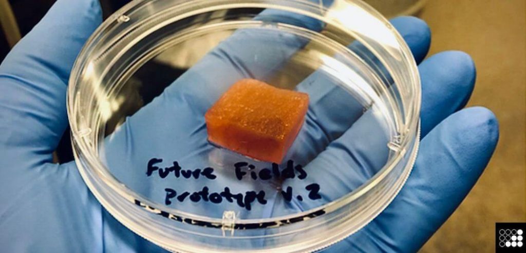 Future Fields prototype | BetaKit